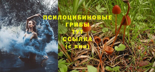 гашишное масло Россошь