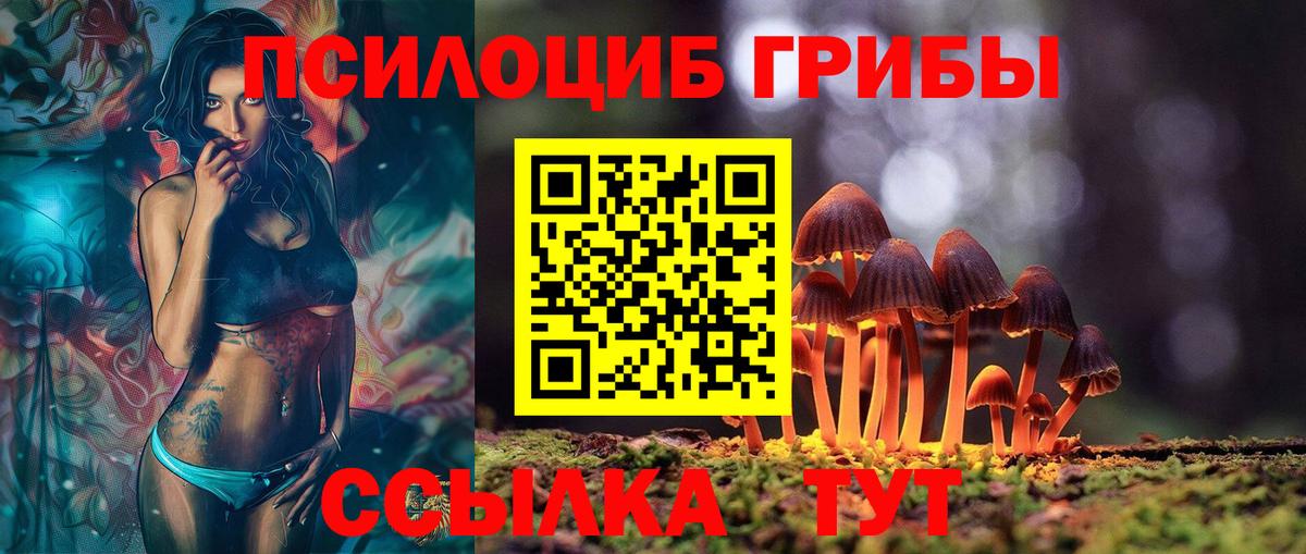 Псилоцибиновые грибы GOLDEN TEACHER  закладка  Вход с VPN  Прокопьевск  Псилоцибиновые грибы ЛСД 